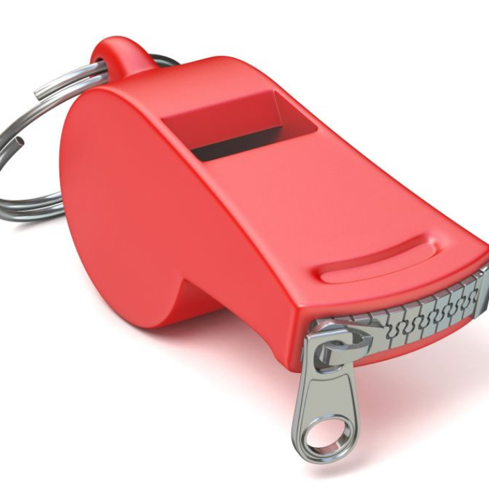 The Fear of Speaking Up: Why Workplace Culture Matters More Than Whistleblowing Hotlines
